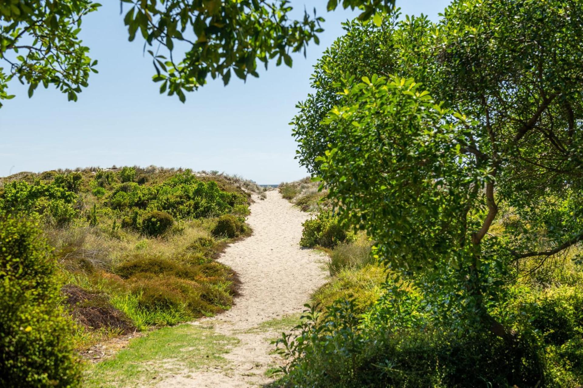 Ocean Beach Getaway Mount Maunganui Ngoại thất bức ảnh